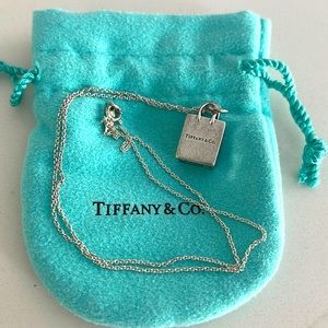 Tiffany & Co Purse Pendant & Tiffany Chain
